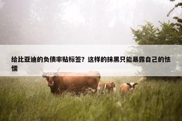 给比亚迪的负债率贴标签？这样的抹黑只能暴露自己的怯懦