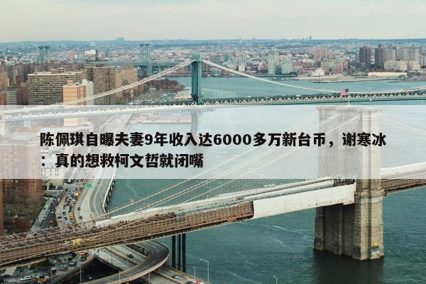 陈佩琪自曝夫妻9年收入达6000多万新台币，谢寒冰：真的想救柯文哲就闭嘴