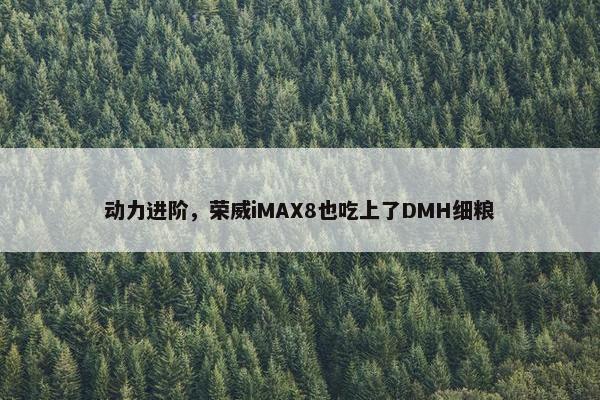 动力进阶，荣威iMAX8也吃上了DMH细粮