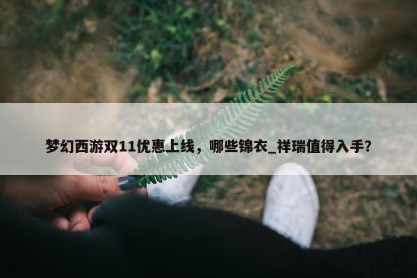 梦幻西游双11优惠上线，哪些锦衣_祥瑞值得入手？