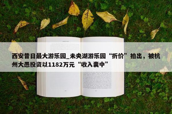 西安昔日最大游乐园_未央湖游乐园“折价”拍出，被杭州大愚投资以1182万元“收入囊中”