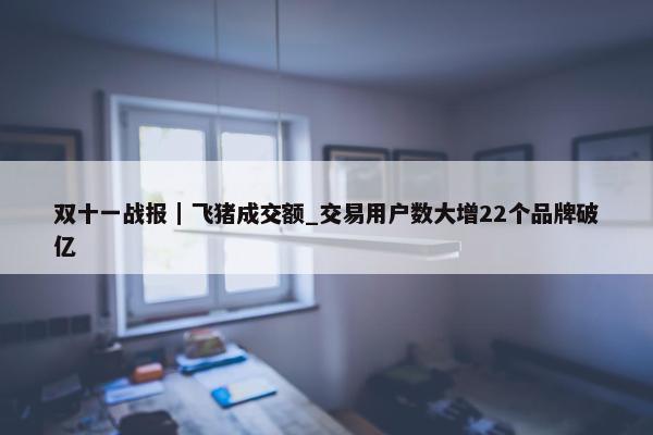 双十一战报｜飞猪成交额_交易用户数大增22个品牌破亿