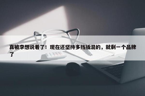 真被李想说着了！现在还坚持多挡插混的，就剩一个品牌了