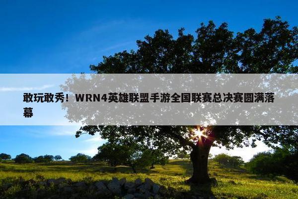 敢玩敢秀！WRN4英雄联盟手游全国联赛总决赛圆满落幕