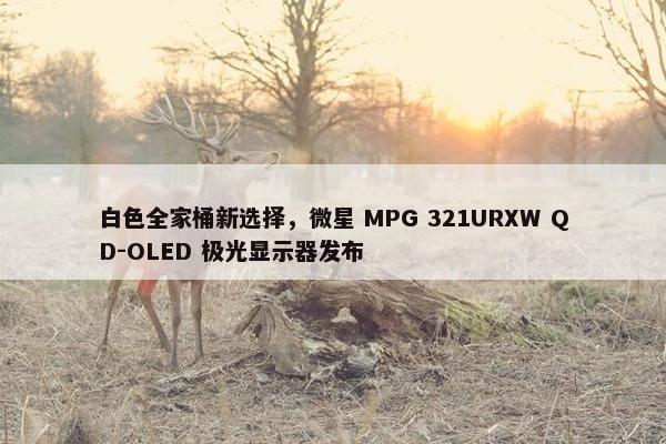 白色全家桶新选择，微星 MPG 321URXW QD-OLED 极光显示器发布