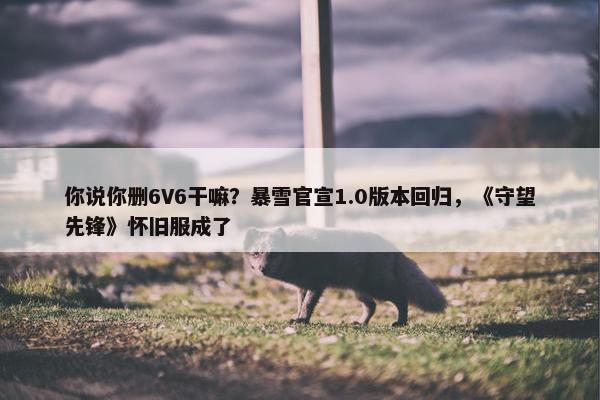 你说你删6V6干嘛？暴雪官宣1.0版本回归，《守望先锋》怀旧服成了