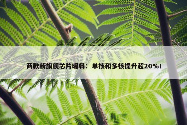 两款新旗舰芯片曝料：单核和多核提升超20%！