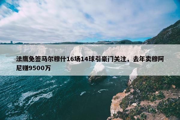 法鹰免签马尔穆什16场14球引豪门关注，去年卖穆阿尼赚9500万