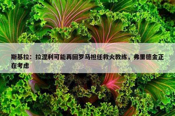 斯基拉：拉涅利可能再回罗马担任救火教练，弗里德金正在考虑