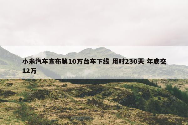 小米汽车宣布第10万台车下线 用时230天 年底交12万