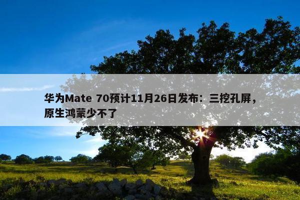 华为Mate 70预计11月26日发布：三挖孔屏，原生鸿蒙少不了