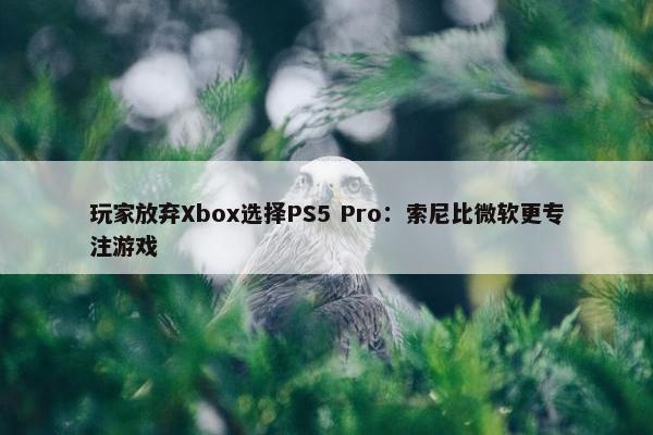 玩家放弃Xbox选择PS5 Pro：索尼比微软更专注游戏