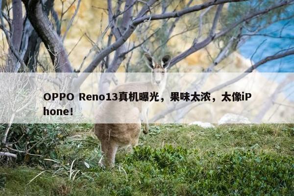 OPPO Reno13真机曝光，果味太浓，太像iPhone！