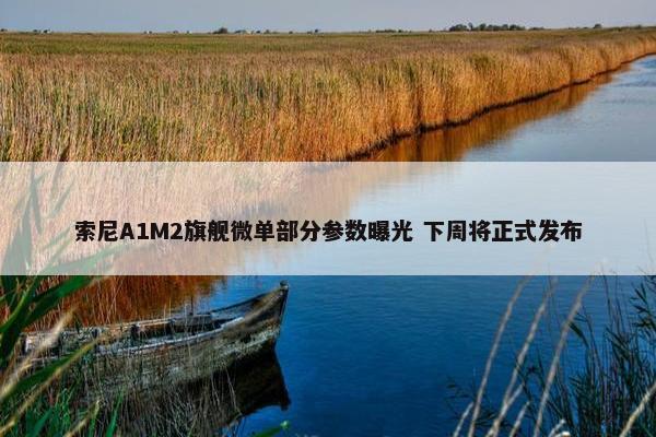 索尼A1M2旗舰微单部分参数曝光 下周将正式发布