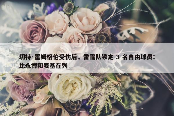 切特·霍姆格伦受伤后，雷霆队锁定 3 名自由球员：比永博和麦基在列