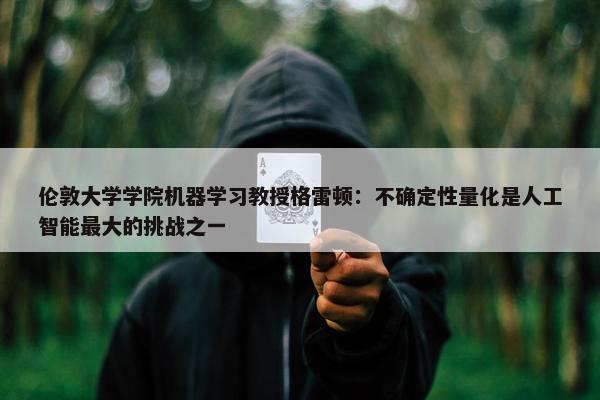 伦敦大学学院机器学习教授格雷顿：不确定性量化是人工智能最大的挑战之一