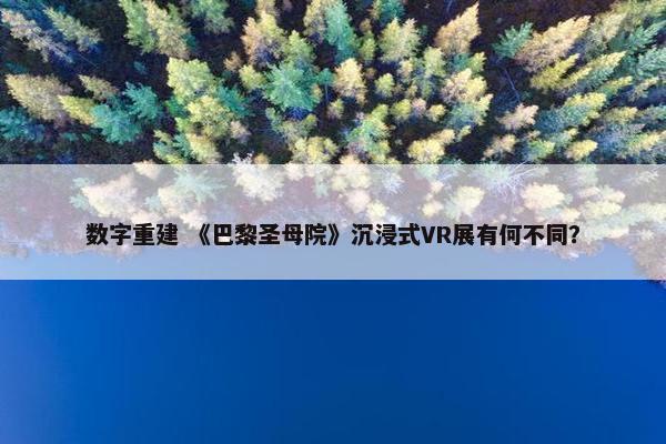 数字重建 《巴黎圣母院》沉浸式VR展有何不同？