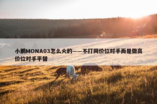 小鹏MONA03怎么火的——不打同价位对手而是做高价位对手平替