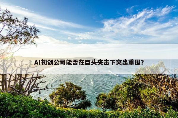 AI初创公司能否在巨头夹击下突出重围？