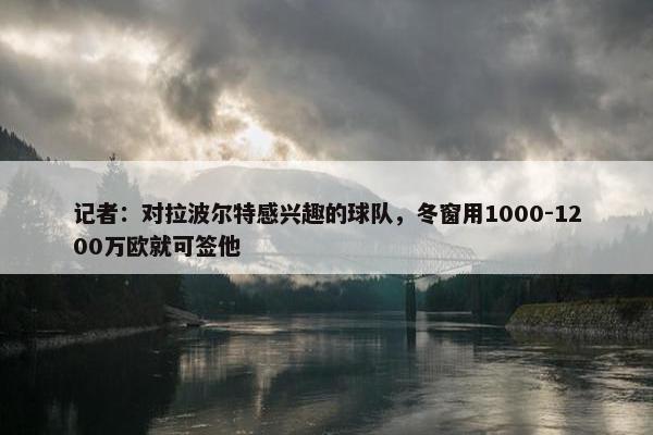 记者：对拉波尔特感兴趣的球队，冬窗用1000-1200万欧就可签他