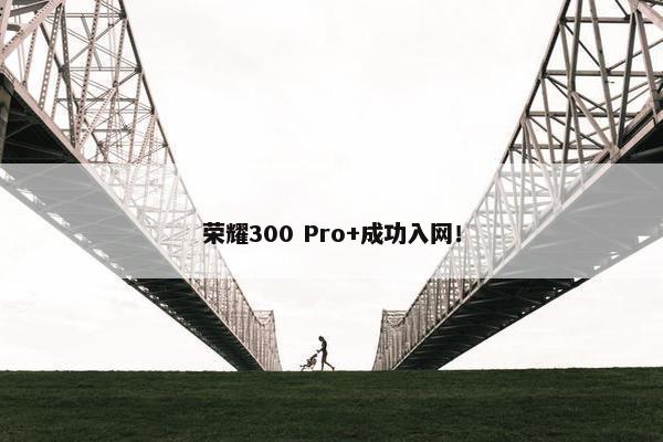 荣耀300 Pro+成功入网！