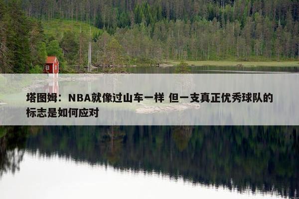 塔图姆：NBA就像过山车一样 但一支真正优秀球队的标志是如何应对