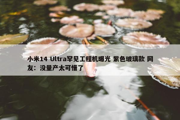 小米14 Ultra罕见工程机曝光 紫色玻璃款 网友：没量产太可惜了