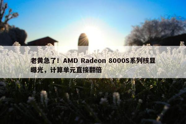 老黄急了！AMD Radeon 8000S系列核显曝光，计算单元直接翻倍