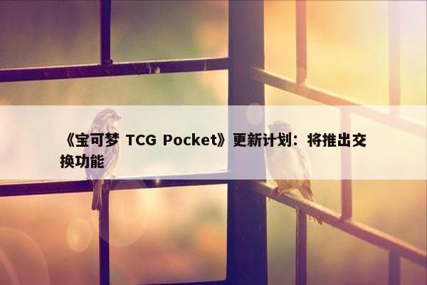 《宝可梦 TCG Pocket》更新计划：将推出交换功能