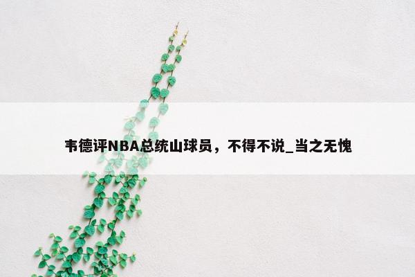 韦德评NBA总统山球员，不得不说_当之无愧