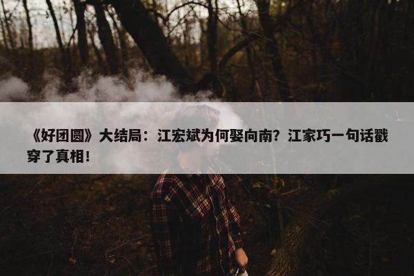 《好团圆》大结局：江宏斌为何娶向南？江家巧一句话戳穿了真相！