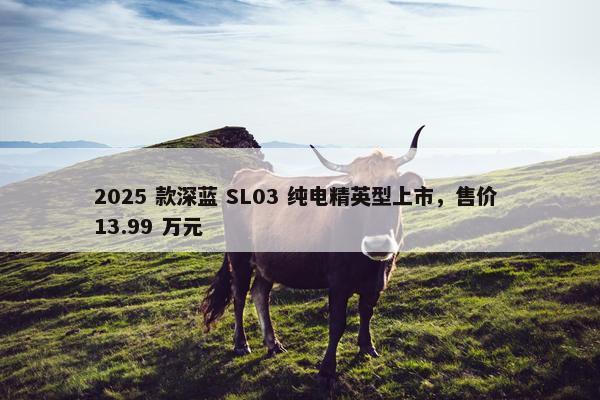 2025 款深蓝 SL03 纯电精英型上市，售价 13.99 万元