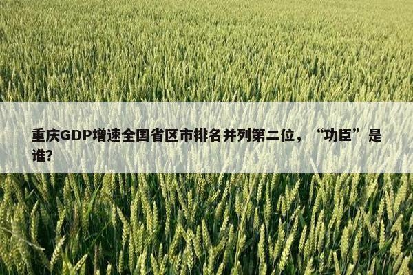 重庆GDP增速全国省区市排名并列第二位，“功臣”是谁？