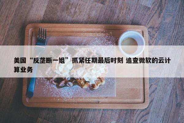 美国“反垄断一姐”抓紧任期最后时刻 追查微软的云计算业务