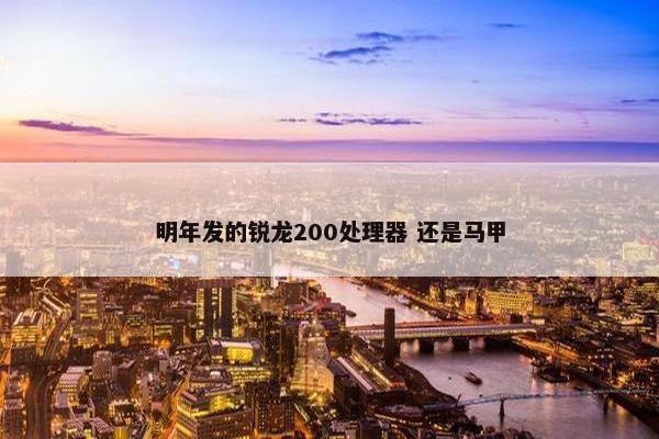 明年发的锐龙200处理器 还是马甲