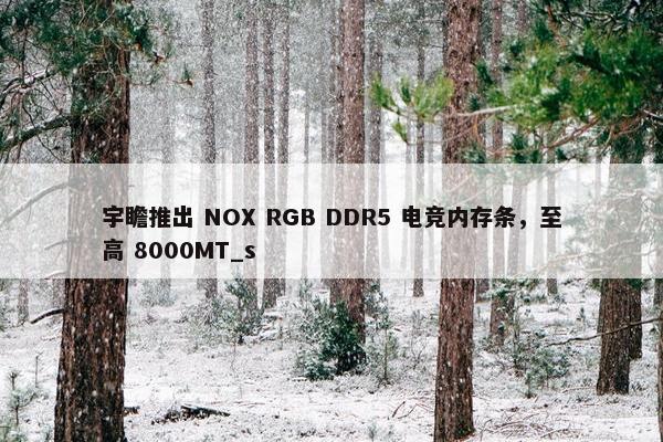 宇瞻推出 NOX RGB DDR5 电竞内存条，至高 8000MT_s