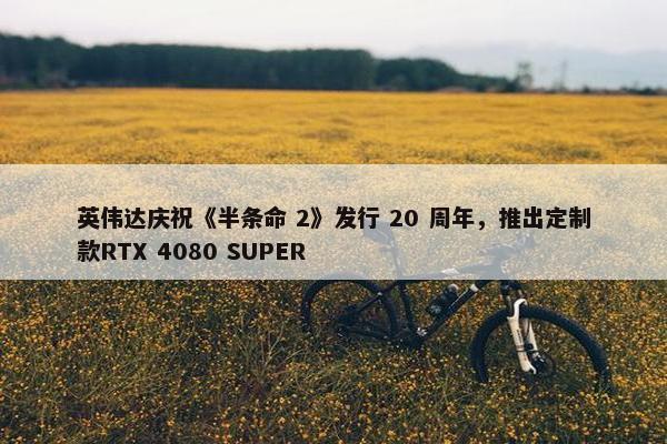 英伟达庆祝《半条命 2》发行 20 周年，推出定制款RTX 4080 SUPER