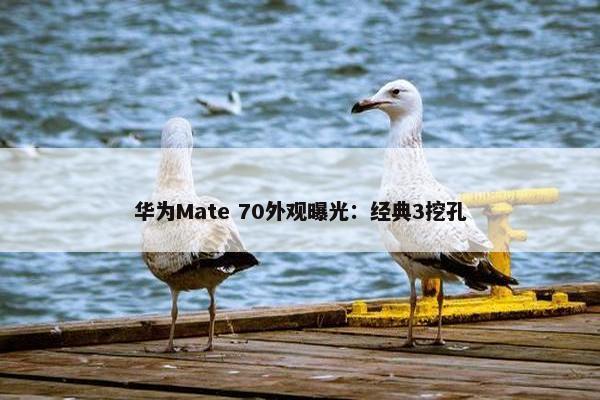 华为Mate 70外观曝光：经典3挖孔