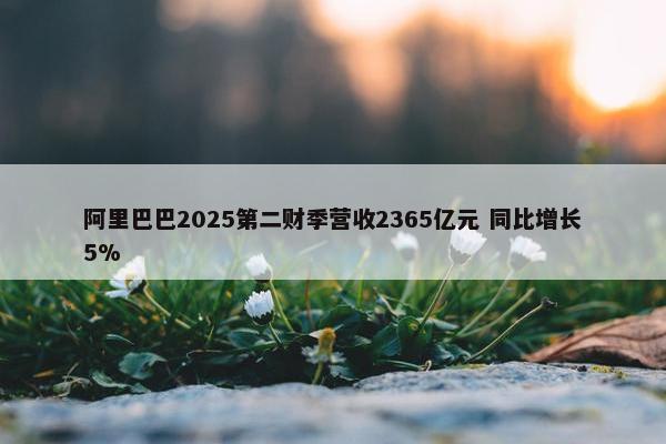 阿里巴巴2025第二财季营收2365亿元 同比增长5%