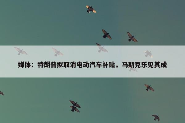 媒体：特朗普拟取消电动汽车补贴，马斯克乐见其成