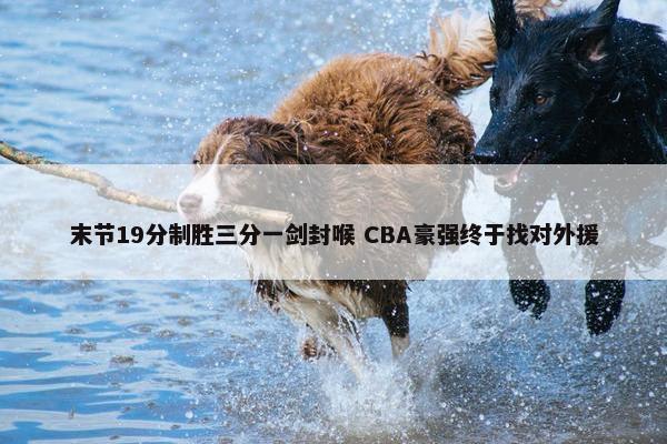 末节19分制胜三分一剑封喉 CBA豪强终于找对外援