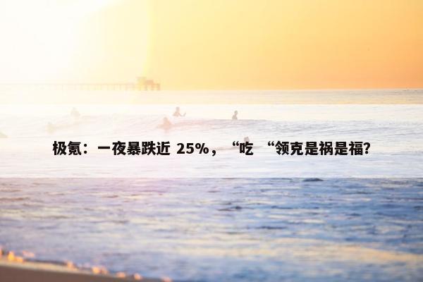 极氪：一夜暴跌近 25%，“吃 “领克是祸是福？