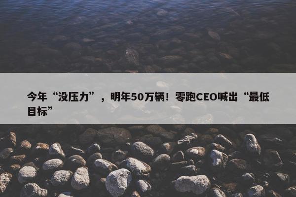 今年“没压力”，明年50万辆！零跑CEO喊出“最低目标”