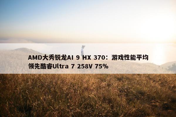 AMD大秀锐龙AI 9 HX 370：游戏性能平均领先酷睿Ultra 7 258V 75％