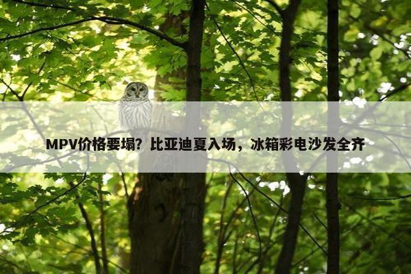 MPV价格要塌？比亚迪夏入场，冰箱彩电沙发全齐