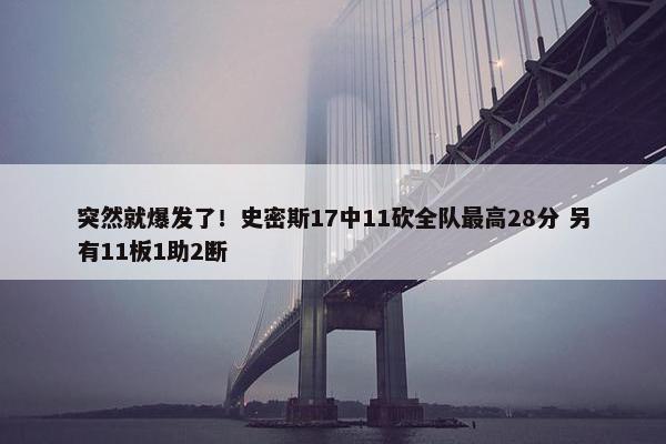 突然就爆发了！史密斯17中11砍全队最高28分 另有11板1助2断