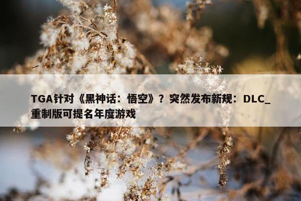 TGA针对《黑神话：悟空》？突然发布新规：DLC_重制版可提名年度游戏