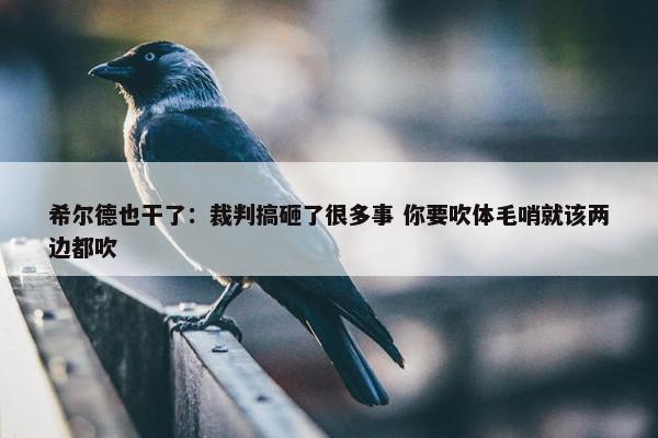 希尔德也干了：裁判搞砸了很多事 你要吹体毛哨就该两边都吹