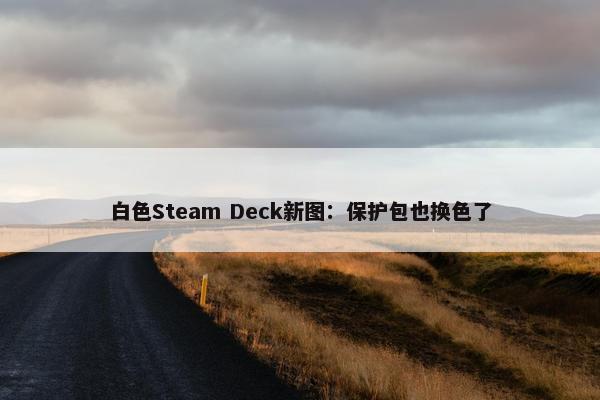 白色Steam Deck新图：保护包也换色了