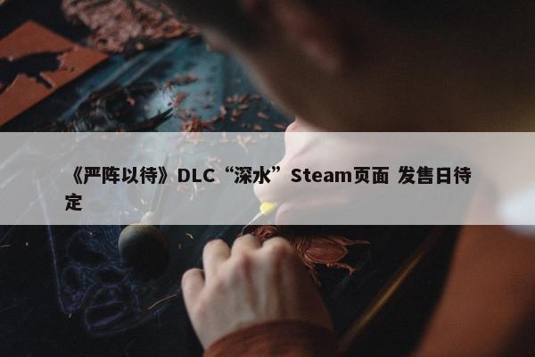 《严阵以待》DLC“深水”Steam页面 发售日待定